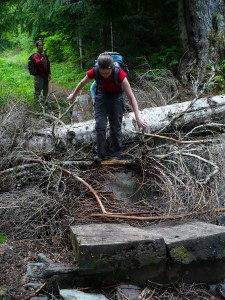 Gold Creek Trail, bridge out